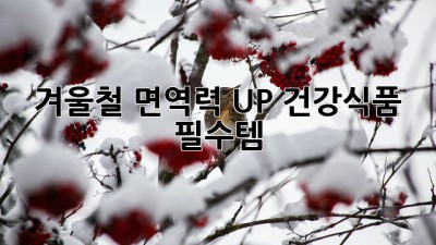 겨울철 면역력 UP! 건강식품 필수템