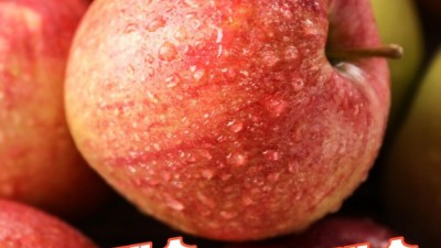 📢 놓치면 후회! 못난이 사과 부사 아오리 꿀딜 후기🍎