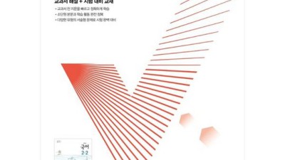 ✨국어 노미숙 탈출! 체크체크로 끝! (솔직 후기)🔥